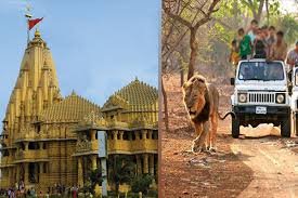 Dwarka Somnath Tour Packages from Pune